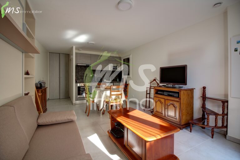 App. F1 en RDC - 26.51 m² - CHORGES