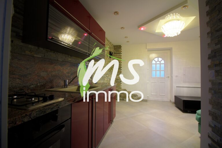 App. F1 avec cave - 25.65 m² - LA SAULCE