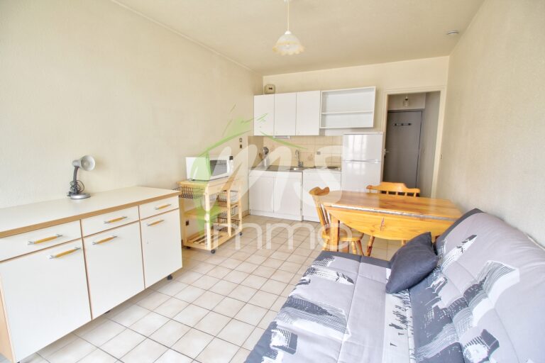 App. F1 avec cave - 21.8 m² - GAP