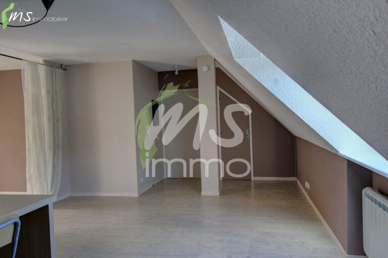 App. F1 avec cave - 36.43 m² - GAP
