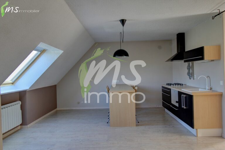 App. F1 avec cave - 36.43 m² - GAP