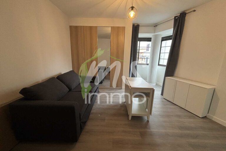 App. F1 avec cave - 24.19 m² - GAP