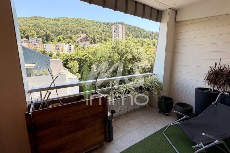 App. F2 avec cave - 51.01 m² - GAP