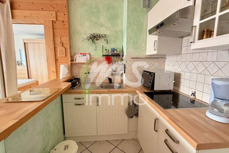 App. F2 - 36.08 m² - PRUNIERES