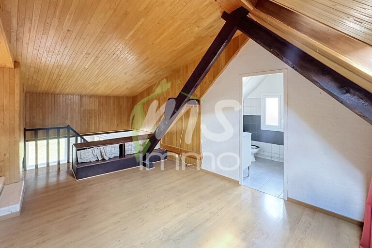 Appartement T3 de 37 m² - SAINT-BONNET EN CHAMPSAUR