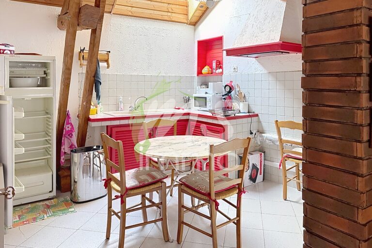 Appartement T3 de 63 m² - Saint bonnet en champsaur