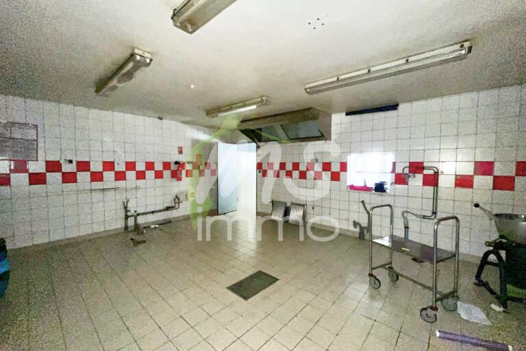 Local de 100 m² - CHORGES