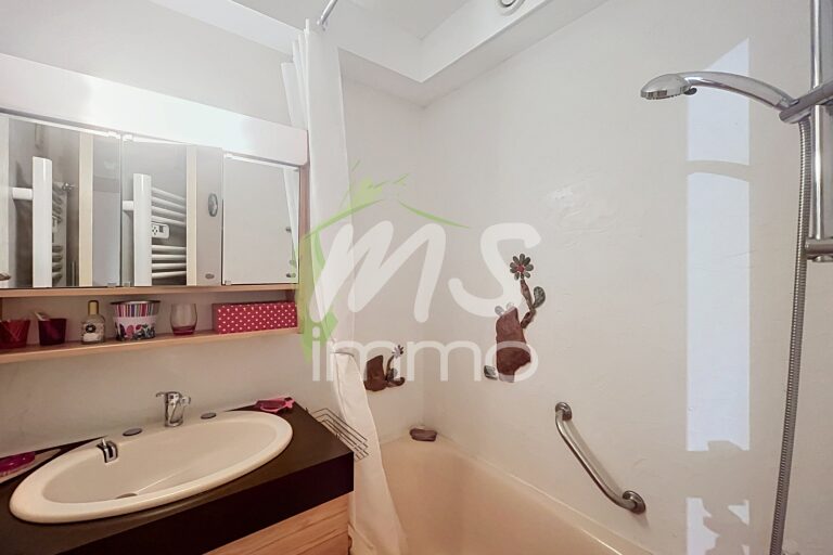 Appartement T1 de 22.24 m² - SAVINES LE LAC