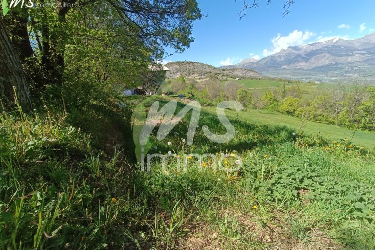 Terrain de 2458 m² - AVANCON