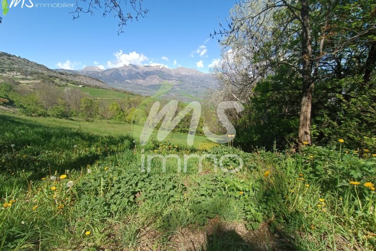 Terrain de 2458 m² - AVANCON