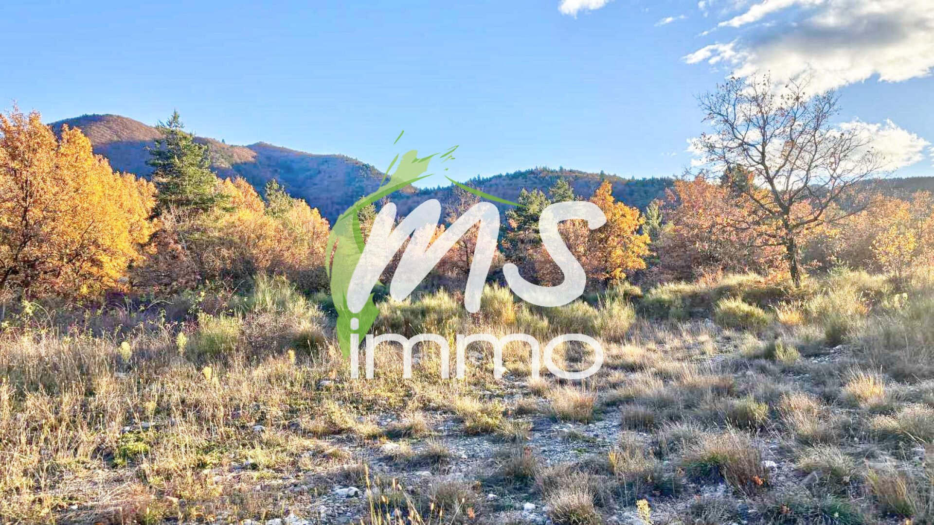 Terrain de 1500 m² - CURBAN - Photo 2