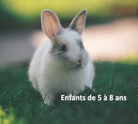 Enfants de 5 à 8 ans