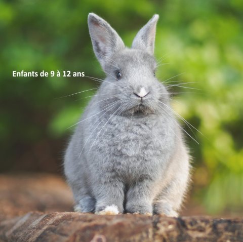 Enfants de 9 à 12 ans